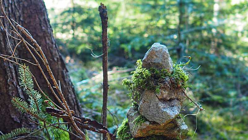 Steinfiguren-im-Wald-am-Sternenweg-Gummer